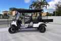 4-Seater Electric Utility Buggy with Tray - JSH0709